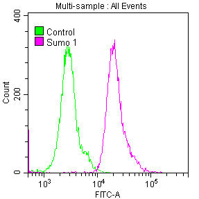 Overlay histogram showing Hela cells stained with CSB-RA022948A0HU (red line) at 1:50. The cells were fixed with 70% Ethylalcohol (18h) and then permeabilized with 0.3% Triton X-100 for 2 min. The cells were then incubated in 1x PBS /10% normal goat serum to block non-specific protein-protein interactions followed by primary antibody for 1 h at 4°C. The secondary antibody used was FITC goat anti-rabbit IgG (H+L) at 1/200 dilution for 1 h at 4°C. Control antibody (green line) was used under the same conditions. Acquisition of >10,000 events was performed.
