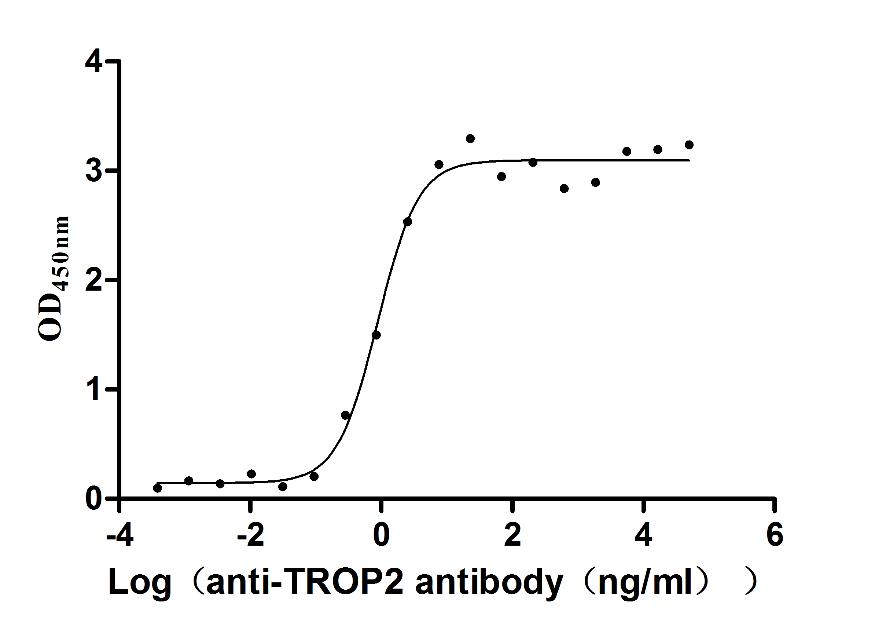 Binding ability in a functional ELISA