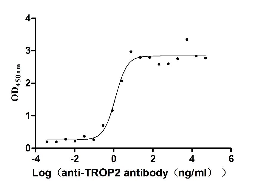 Binding ability in a functional ELISA