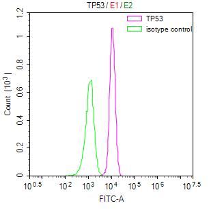TP53 Recombinant Monoclonal Antibody - image 4