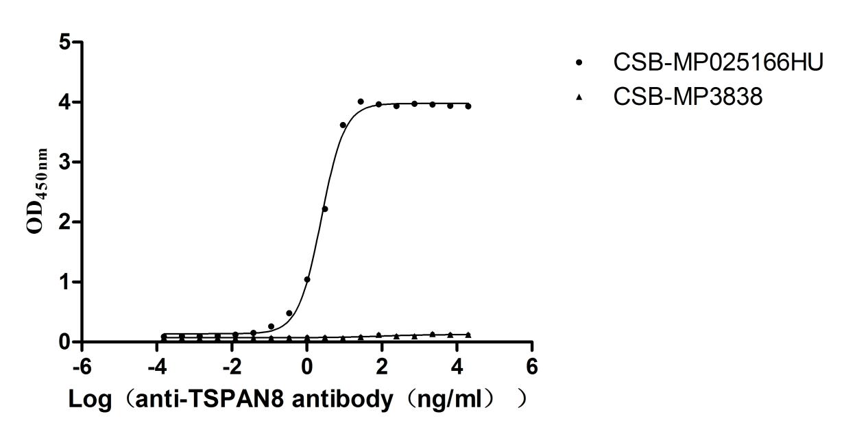The Binding Activity of TSPAN8 with Anti-TSPAN8 recombinant antibody Activity: Measured by its binding ability in a functional ELISA. Immobilized Human TSPAN8 (CSB-MP025166HU) at 5 microg/mL can bind Anti-TSPAN8 recombinant antibody. The EC50 is 2.261-2.623 ng/mL. The VLPs (CSB-MP3838) is negative control. The Binding Activity of TSPAN8 with Anti-TSPAN8 recombinant antibody Activity: Measured by its binding ability in a functional ELISA. Immobilized Human TSPAN8 (CSB-MP025166HU) at 5 microg/mL can bind Anti-TSPAN8 recombinant antibody. The EC50 is 2.261-2.623 ng/mL. The VLPs (CSB-MP3838) is negative control.