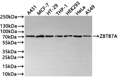 CSB-RA063930A0HU