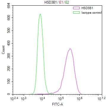 HSD3B1 Recombinant Monoclonal Antibody - image 4