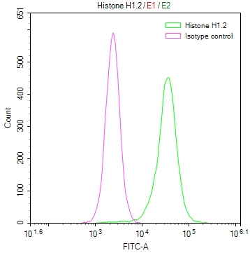HIST1H1C Recombinant Monoclonal Antibody - image 3