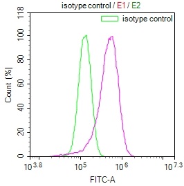 Overlay Peak curve showing HepG2 cells stained with CSB-RA155442A0HU (red line) at 1:100. The cells were fixed in 4% formaldehyde and permeated by 0.2% TritonX-100. Then 10% normal goat serum to block non-specific protein-protein interactions followed by the antibody (1ug/1*106cells) for 45min at 4°C. The secondary antibody used was FITC-conjugated Goat Anti-rabbit IgG(H+L) at 1:200 dilution for 35min at 4°C.Control antibody (green line) was rabbit IgG (1ug/1*106cells) used under the same conditions. Acquisition of >10,000 events was performed.