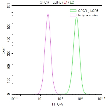 LGR6 Recombinant Monoclonal Antibody - image 3