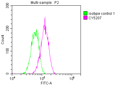 Overlay histogram showing Hela cells stained with CSB-RA166706A0HU (red line) at 1:50. The cells were fixed with 70% Ethylalcohol (18h) and then incubated in 10% normal goat serum to block non-specific protein-protein interactions followedby the antibody (1microg/1*106 cells) for 1 h at 4°C.The secondary antibody used was FITC-conjugated goat anti-rabbit IgG (H+L) at 1/200 dilution for 30min at 4°C. Control antibody (green line) was Rabbit IgG (1microg/1*106 cells) used under the same conditions. Acquisition of >10,000 events was performed.