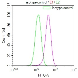 Overlay Peak curve showing HepG2 cells stained with CSB-RA178866A0HU (red line) at 1:100. The cells were fixed in 4% formaldehyde and permeated by 0.2% TritonX-100. Then 10% normal goat serum to block non-specific protein-protein interactions followed by the antibody (1ug/1*106cells) for 45min at 4°C. The secondary antibody used was FITC-conjugated Goat Anti-rabbit IgG(H+L) at 1:200 dilution for 35min at 4°C.Control antibody (green line) was rabbit IgG (1ug/1*106cells) used under the same conditions. Acquisition of >10,000 events was performed.