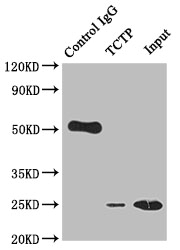 CSB-RA214107A0HU