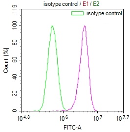ARG2 Recombinant Monoclonal Antibody - image 3
