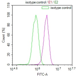 Overlay Peak curve showing A549 cells stained with CSB-RA233042A0HU (red line) at 1:100. The cells were incubated in 10% normal goat serum to block non-specific protein-protein interactions followed by the antibody (1ug/1*106cells) for 45min at 4°C. The secondary antibody used was FITC-conjugated Goat Anti-rabbit IgG(H+L) at 1:200 dilution for 35min at 4°C.Control antibody (green line) was rabbit IgG (1ug/1*106cells) used under the same conditions. Acquisition of >10,000 events was performed. Overlay Peak curve showing A549 cells stained with CSB-RA233042A0HU (red line) at 1:100. The cells were incubated in 10% normal goat serum to block non-specific protein-protein interactions followed by the antibody (1ug/1*106cells) for 45min at 4°C. The secondary antibody used was FITC-conjugated Goat Anti-rabbit IgG(H+L) at 1:200 dilution for 35min at 4°C.Control antibody (green line) was rabbit IgG (1ug/1*106cells) used under the same conditions. Acquisition of >10,000 events was performed.