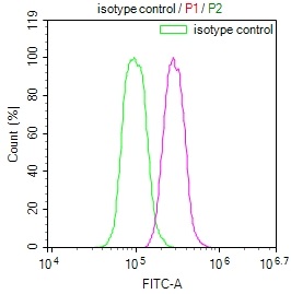Overlay Peak curve showing Hela cells stained with CSB-RA256295A0HU (red line) at 1:100. The cells were fixed in 4% formaldehyde and permeated by 0.2% TritonX-100. Then 10% normal goat serum to block non-specific protein-protein interactions followed by the antibody (1ug/1*106cells) for 45min at 4°C. The secondary antibody used was FITC-conjugated Goat Anti-rabbit IgG(H+L) at 1:200 dilution for 35min at 4°C.Control antibody (green line) was rabbit IgG (1ug/1*106cells) used under the same conditions. Acquisition of >10,000 events was performed.