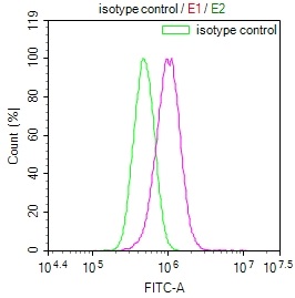 Overlay Peak curve showing PC3 cells stained with CSB-RA285197A0HU (red line) at 1:100. The cells were fixed in 4% formaldehyde and permeated by 0.2% TritonX-100. Then 10% normal goat serum to block non-specific protein-protein interactions followed by the antibody (1ug/1*106cells) for 45min at 4°C. The secondary antibody used was FITC-conjugated Goat Anti-rabbit IgG(H+L) at 1:200 dilution for 35min at 4°C.Control antibody (green line) was rabbit IgG (1ug/1*106cells) used under the same conditions. Acquisition of >10,000 events was performed. Overlay Peak curve showing PC3 cells stained with CSB-RA285197A0HU (red line) at 1:100. The cells were fixed in 4% formaldehyde and permeated by 0.2% TritonX-100. Then 10% normal goat serum to block non-specific protein-protein interactions followed by the antibody (1ug/1*106cells) for 45min at 4°C. The secondary antibody used was FITC-conjugated Goat Anti-rabbit IgG(H+L) at 1:200 dilution for 35min at 4°C.Control antibody (green line) was rabbit IgG (1ug/1*106cells) used under the same conditions. Acquisition of >10,000 events was performed.