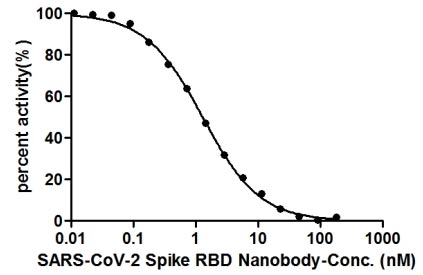 The Binding Activity of SARS-CoV-2 Spike RBD Nanobody