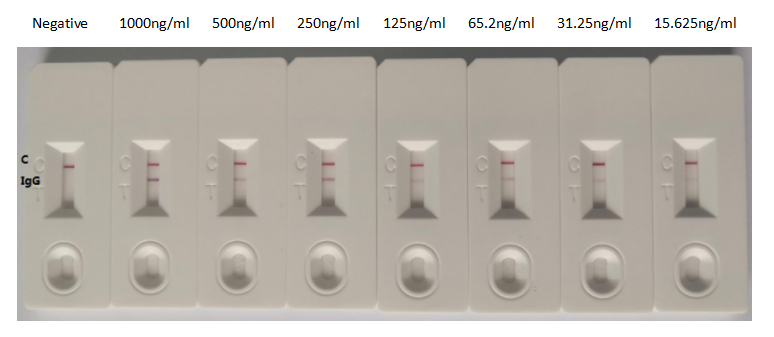 CSB-RA33255A2GMY-Colloidal-gold