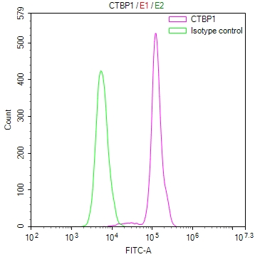 CSB-RA546965A0HU