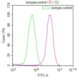 Overlay Peak curve showing MCF7 cells stained with CSB-RA556985A0HU (red line) at 1:100. The cells were fixed in 4% formaldehyde and permeated by 0.2% TritonX-100. Then 10% normal goat serum to block non-specific protein-protein interactions followed by the antibody (1ug/1*106cells) for 45min at 4°C. The secondary antibody used was FITC-conjugated Goat Anti-rabbit IgG(H+L) at 1:200 dilution for 35min at 4°C.Control antibody (green line) was rabbit IgG (1ug/1*106cells) used under the same conditions. Acquisition of >10,000 events was performed.