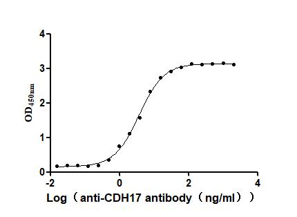 CSB-MP613267HU SDS-PAGE