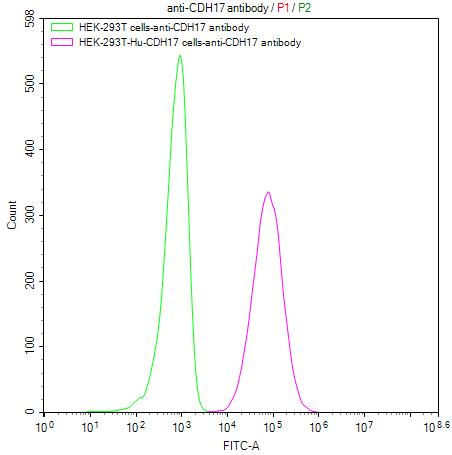 Activity assay of CSB-MP613267HU