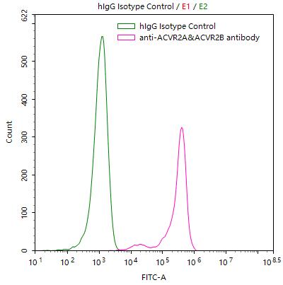 CSB-RA623829MA1HU