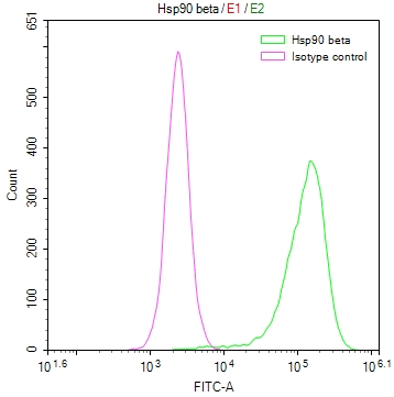 HSP90AB1 Recombinant Monoclonal Antibody - image 3