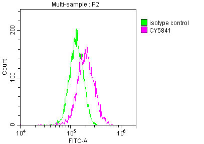 Overlay histogram showing Hela cells stained with CSB-RA786226A0HU (red line) at 1:50. The cells were fixed with 70% Ethylalcohol (18h) and then incubated in 10% normal goat serum to block non-specific protein-protein interactions followedby the antibody (1microg/1*106 cells) for 1 h at 4°C.The secondary antibody used was FITC-conjugated goat anti-rabbit IgG (H+L) at 1/200 dilution for 30min at 4°C. Control antibody (green line) was Rabbit IgG (1microg/1*106 cells) used under the same conditions. Acquisition of >10,000 events was performed.