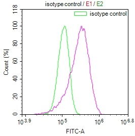 Overlay Peak curve showing HepG2 cells stained with CSB-RA832492A0HU (red line) at 1:100. The cells were fixed in 4% formaldehyde and permeated by 0.2% TritonX-100. Then 10% normal goat serum to block non-specific protein-protein interactions followed by the antibody (1ug/1*106cells) for 45min at 4°C. The secondary antibody used was FITC-conjugated Goat Anti-rabbit IgG(H+L) at 1:200 dilution for 35min at 4°C.Control antibody (green line) was rabbit IgG (1ug/1*106cells) used under the same conditions. Acquisition of >10,000 events was performed.