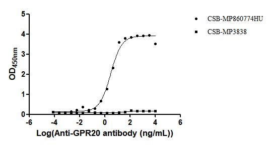 GPR20 Recombinant Monoclonal Antibody - image 2