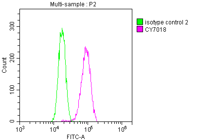 DNM2 Recombinant Monoclonal Antibody - image 3