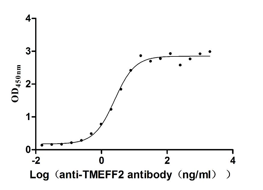 The Binding Activity of TMEFF2 with Anti-TMEFF2 monoclonal antibody Activity: Measured by its binding ability in a functional ELISA. Immobilized Human TMEFF2 (CSB-MP883439HU) at 2 microg/mL can bind Anti-TMEFF2 recombinant antibody, the EC50 is 2.129-2.956 ng/mL. The Binding Activity of TMEFF2 with Anti-TMEFF2 monoclonal antibody Activity: Measured by its binding ability in a functional ELISA. Immobilized Human TMEFF2 (CSB-MP883439HU) at 2 microg/mL can bind Anti-TMEFF2 recombinant antibody, the EC50 is 2.129-2.956 ng/mL.