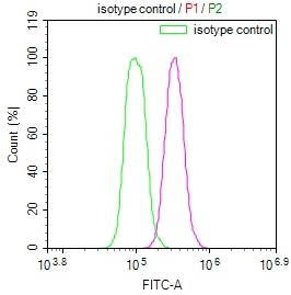 Overlay Peak curve showing Hela cells stained with CSB-RA886298A0HU (red line) at 1:100. The cells were fixed in 4% formaldehyde and permeated by 0.2% TritonX-100. Then 10% normal goat serum to block non-specific protein-protein interactions followed by the antibody (1ug/1*106cells) for 45min at 4°C. The secondary antibody used was FITC-conjugated Goat Anti-rabbit IgG(H+L) at 1:200 dilution for 35min at 4°C.Control antibody (green line) was rabbit IgG (1ug/1*106cells) used under the same conditions. Acquisition of >10,000 events was performed. Overlay Peak curve showing Hela cells stained with CSB-RA886298A0HU (red line) at 1:100. The cells were fixed in 4% formaldehyde and permeated by 0.2% TritonX-100. Then 10% normal goat serum to block non-specific protein-protein interactions followed by the antibody (1ug/1*106cells) for 45min at 4°C. The secondary antibody used was FITC-conjugated Goat Anti-rabbit IgG(H+L) at 1:200 dilution for 35min at 4°C.Control antibody (green line) was rabbit IgG (1ug/1*106cells) used under the same conditions. Acquisition of >10,000 events was performed.