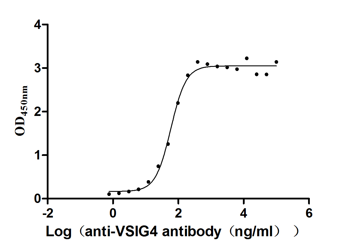 The Binding Activity of VSIG4 with anti-VSIG4 antibody Activity: Measured by its binding ability in a functional ELISA. Immobilized Human VSIG4(CSB-MP896869HU) at 2 microg/ml can bind Anti-VSIG4 recombinant antibody, the EC50 is 51.14-68.73 ng/mL. The Binding Activity of VSIG4 with anti-VSIG4 antibody Activity: Measured by its binding ability in a functional ELISA. Immobilized Human VSIG4(CSB-MP896869HU) at 2 microg/ml can bind Anti-VSIG4 recombinant antibody, the EC50 is 51.14-68.73 ng/mL.