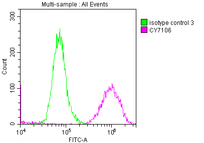 Overlay histogram showing A549 cells stained with CSB-RA907007A0HU (red line) at 1:50. The cells were fixed with 70% Ethylalcohol (18h) and then incubated in 10% normal goat serum to block non-specific protein-protein interactions followedby the antibody (1microg/1*106 cells) for 1 h at 4°C.The secondary antibody used was FITC-conjugated goat anti-rabbit IgG (H+L) at 1/200 dilution for 30min at 4°C. Control antibody (green line) was Rabbit IgG (1microg/1*106 cells) used under the same conditions. Acquisition of >10,000 events was performed.