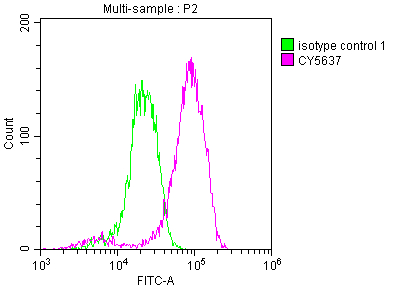 Overlay histogram showing Jurkat cells stained with CSB-RA932542A0HU (red line) at 1:50. The cells were fixed with 70% Ethylalcohol (18h) and then incubated in 10% normal goat serum to block non-specific protein-protein interactions followedby the antibody (1microg/1*106 cells) for 1 h at 4°C.The secondary antibody used was FITC-conjugated goat anti-rabbit IgG (H+L) at 1/200 dilution for 30min at 4°C. Control antibody (green line) was Rabbit IgG (1microg/1*106 cells) used under the same conditions. Acquisition of >10,000 events was performed.