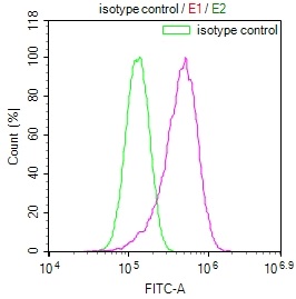 Overlay Peak curve showing HepG2 cells stained with CSB-RA937491A0HU (red line) at 1:100. The cells were fixed in 4% formaldehyde and permeated by 0.2% TritonX-100. Then 10% normal goat serum to block non-specific protein-protein interactions followed by the antibody (1ug/1*106cells) for 45min at 4°C. The secondary antibody used was FITC-conjugated Goat Anti-rabbit IgG(H+L) at 1:200 dilution for 35min at 4°C.Control antibody (green line) was rabbit IgG (1ug/1*106cells) used under the same conditions. Acquisition of >10,000 events was performed.