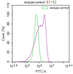 Overlay Peak curve showing HepG2 cells stained with CSB-RA940350A0HU (red line) at 1:100. The cells were fixed in 4% formaldehyde and permeated by 0.2% TritonX-100. Then 10% normal goat serum to block non-specific protein-protein interactions followed by the antibody (1ug/1*106cells) for 45min at 4°C. The secondary antibody used was FITC-conjugated Goat Anti-rabbit IgG(H+L) at 1:200 dilution for 35min at 4°C.Control antibody (green line) was rabbit IgG (1ug/1*106cells) used under the same conditions. Acquisition of >10,000 events was performed.