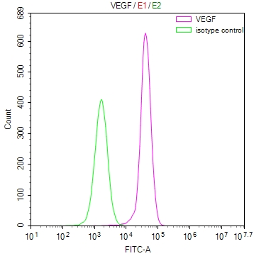 FLT1 Recombinant Monoclonal Antibody - image 4