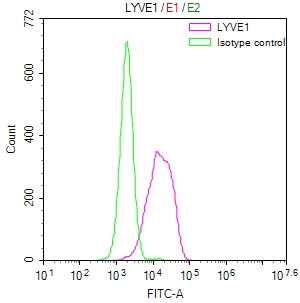 LYVE1 Recombinant Monoclonal Antibody - image 2