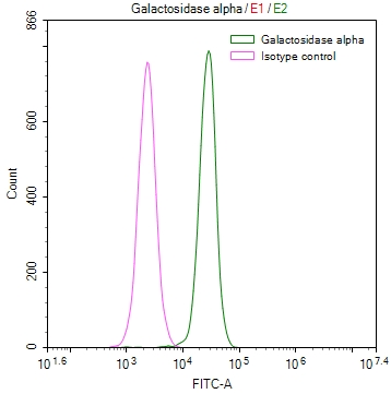 GLA Recombinant Monoclonal Antibody - image 2