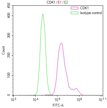 CSB-RA954261A0HU