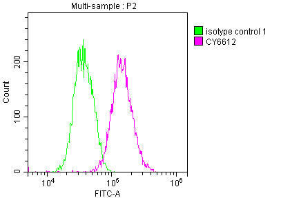 NR3C1 Recombinant Monoclonal Antibody - image 2