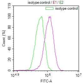 Overlay Peak curve showing HepG2 cells stained with CSB-RA959139A0HU (red line) at 1:100. The cells were incubated in 10% normal goat serum to block non-specific protein-protein interactions followed by the antibody (1ug/1*106cells) for 45min at 4°C. The secondary antibody used was FITC-conjugated Goat Anti-rabbit IgG(H+L) at 1:200 dilution for 35min at 4°C.Control antibody (green line) was rabbit IgG (1ug/1*106cells) used under the same conditions. Acquisition of >10,000 events was performed.