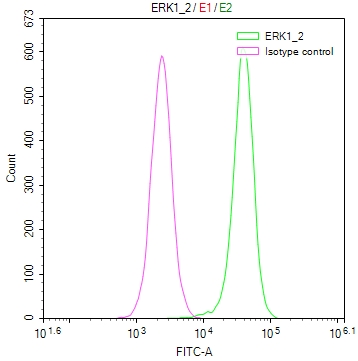 MAPK1/MAPK3 Recombinant Monoclonal Antibody - image 3