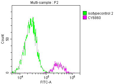 Overlay histogram showing 293 cells stained with CSB-RA987662A0HU (red line) at 1:50. The cells were fixed with 70% Ethylalcohol (18h) and then incubated in 10% normal goat serum to block non-specific protein-protein interactions followedby the antibody (1microg/1*106 cells) for 1 h at 4°C.The secondary antibody used was FITC-conjugated goat anti-rabbit IgG (H+L) at 1/200 dilution for 30min at 4°C. Control antibody (green line) was Rabbit IgG (1microg/1*106 cells) used under the same conditions. Acquisition of >10,000 events was performed.