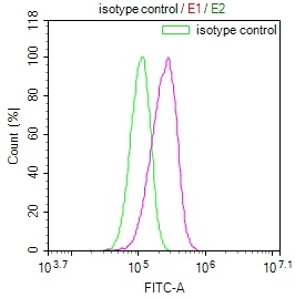 Overlay Peak curve showing HepG2 cells stained with CSB-RA993143A0HU (red line) at 1:100. The cells were fixed in 4% formaldehyde and permeated by 0.2% TritonX-100. Then 10% normal goat serum to block non-specific protein-protein interactions followed by the antibody (1ug/1*106cells) for 45min at 4°C. The secondary antibody used was FITC-conjugated Goat Anti-rabbit IgG(H+L) at 1:200 dilution for 35min at 4°C.Control antibody (green line) was rabbit IgG (1ug/1*106cells) used under the same conditions. Acquisition of >10,000 events was performed. Overlay Peak curve showing HepG2 cells stained with CSB-RA993143A0HU (red line) at 1:100. The cells were fixed in 4% formaldehyde and permeated by 0.2% TritonX-100. Then 10% normal goat serum to block non-specific protein-protein interactions followed by the antibody (1ug/1*106cells) for 45min at 4°C. The secondary antibody used was FITC-conjugated Goat Anti-rabbit IgG(H+L) at 1:200 dilution for 35min at 4°C.Control antibody (green line) was rabbit IgG (1ug/1*106cells) used under the same conditions. Acquisition of >10,000 events was performed.