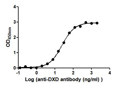 The Binding Activity of DXD-BSA with Anti-DXD antibody Activity: Measured by its binding ability in a functional ELISA. Immobilized DXD-BSA at 2 microg/mL can bind Anti-DXD antibody, the EC50 is 22.68 to 27.25 ng/mL.