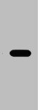 1microg Flag fusion protein + Primary antibody dilution at 1:10000