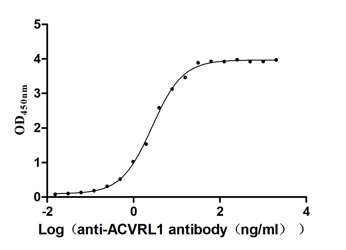 Excellent Bioactivity Validated by Functional ELISA