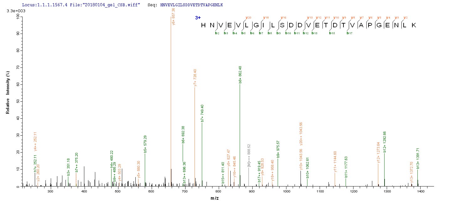 LC-MS Analysis 1- Recombinant protein Human GSPT1
