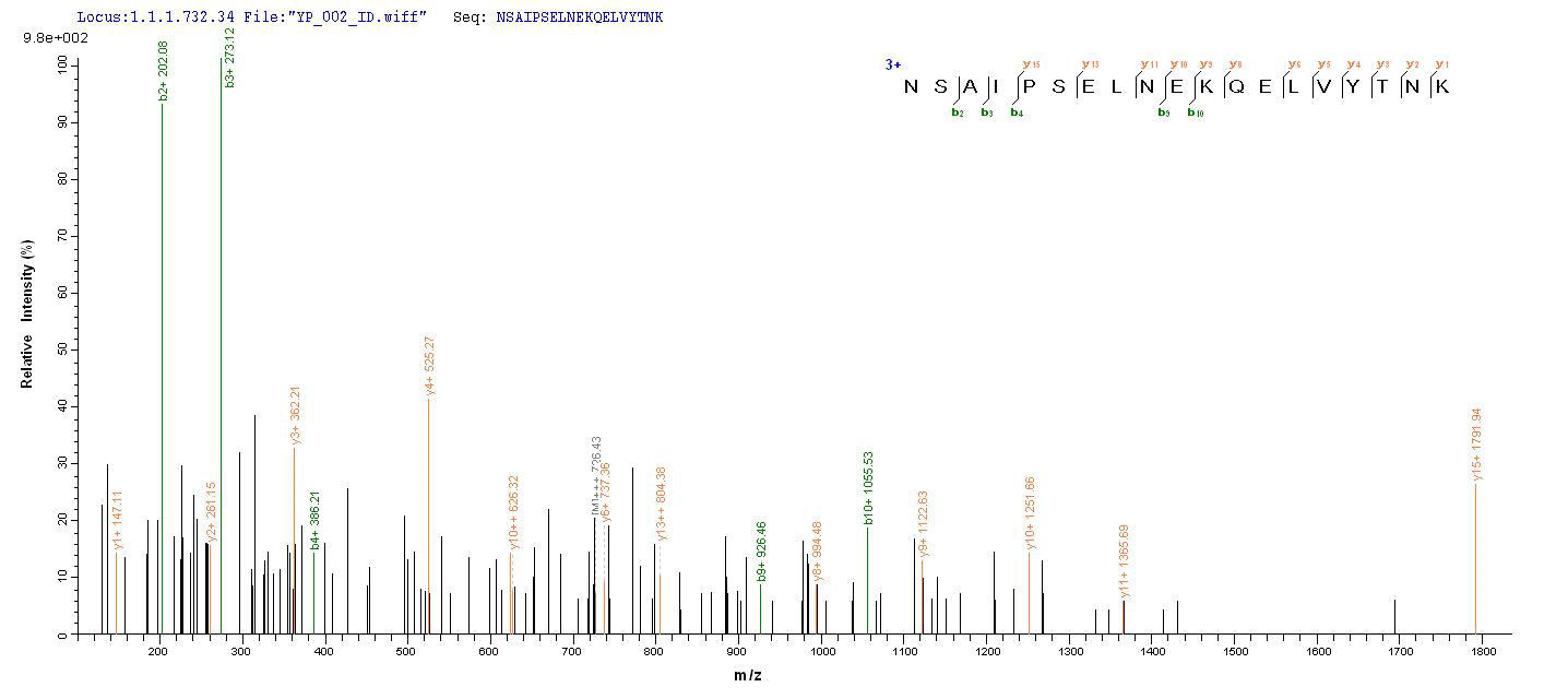 LC-MS Analysis 2- Recombinant protein Human OPTN